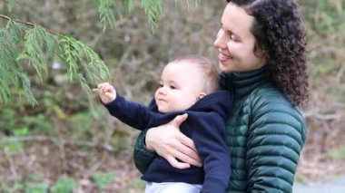 Kafkas Bebek ve Annesi Ormanda Dallarla ve ağaçlarla oynuyorlar.