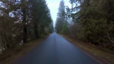 Renfrew Limanı 'ndaki ağaçlarla çevrili Manzaralı Yol. Gün ışığı, Bahar mevsimi. British Columbia, Kanada.