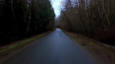 Renfrew Limanı 'ndaki ağaçlarla çevrili Manzaralı Yol. Gün ışığı, Bahar mevsimi. British Columbia, Kanada.