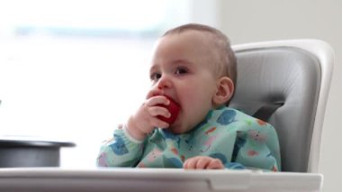 Yüksek Sandalyede Çilek Yiyen Şirin Bebek. Eve, yemek vakti..