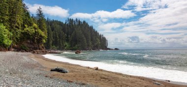 Sandy Beach on West Coast of Pacific Ocean. Juan de Fuca Trail, Vancouver Island, BC, Canada. clipart