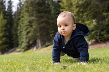 Bebek dışarıda, yemyeşil çimlerde oynuyor. Kanada doğasında. British Columbia, Kanada. Yavaş Çekim, Sinematik.