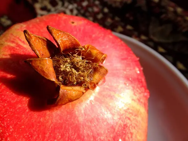 Nar sulu olgun meyve. Nar 'ın tepesi güneş tarafından aydınlatılır..