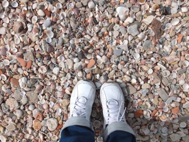 Deniz kabuğu sahilinde beyaz spor ayakkabılı kadın bacakları. Seyahat ve turizm