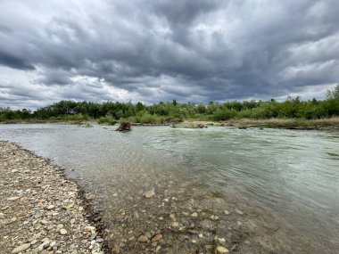 Bystrytsia Nadvirnianska Nehri, Ukrayna 'nın karamsar bahar manzarası. Şiddetli, karanlık, fırtınalı bir gökyüzü altında yemyeşil kıyılar.