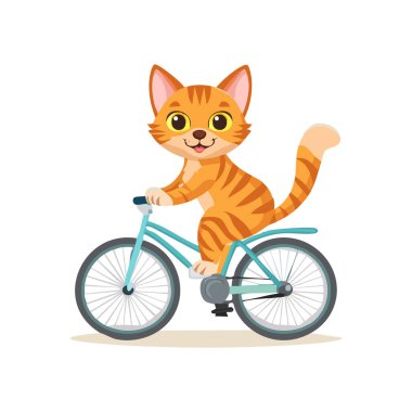 Bisiklet süren sevimli kedi.