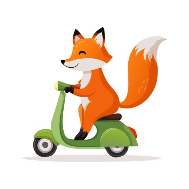 Şirin tilki scooter kullanıyor.