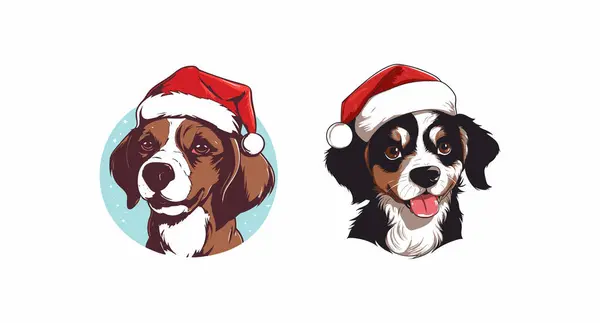 Noel Baba şapkası giyen köpek