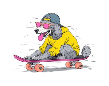 Komik Fino Kaykay Oynuyor