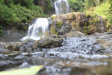 Tropikal ormanda şelale