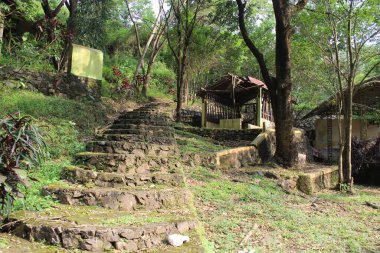 Ormandaki eski ahşap köprü.