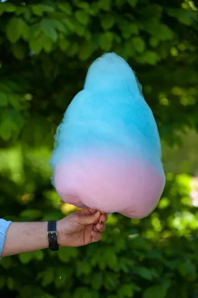 Elinde mavi-pembe pamuk tutuyordu.