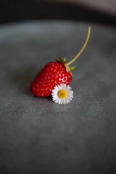 Koyu arkaplanda beyaz papatya çiçeği olan taze bir çilek.