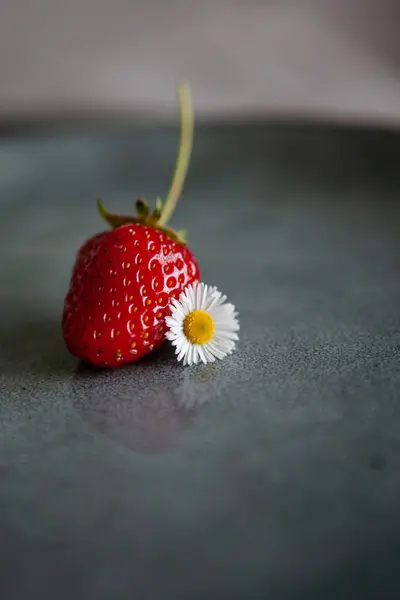 Koyu arkaplanda beyaz papatya çiçeği olan taze bir çilek.