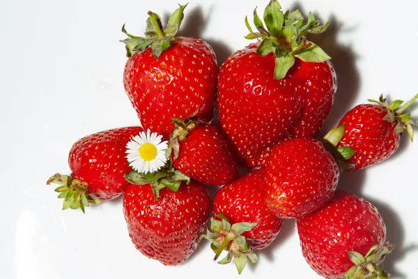 Beyaz çileklerin arka planında kırmızı çilekler.