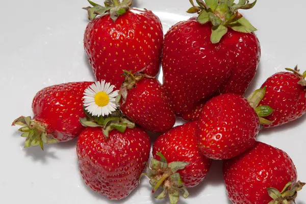 Masanın üzerinde kırmızı çilekler, manzarayı kapat.