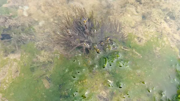 Güzel deniz manzarası