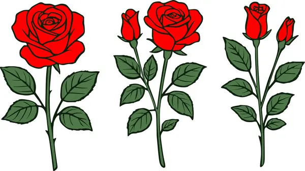 Bu vektörde kırmızı gül çiçekleri var.