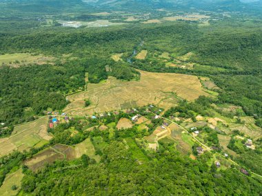 Hava görüntüsü, köy hayatı ve doğanın mükemmel bir karışımını yakalıyor..