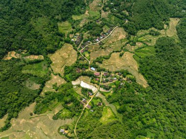 Bereketli yeşil çevredeki sakin bir köye havadan bir bak..