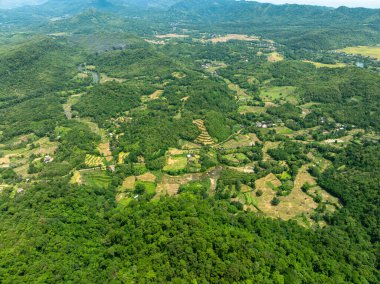 Pirinç tarlaları ve ormanlarla çevrili bir topluluğun en üst görüntüsü.