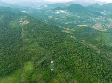 Tropikal dağ ormanlarını aydınlatan nefes kesici bir gün doğumu..