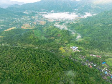 Yoğun tropikal dağ yağmur ormanları üzerine altın renkler dökülen canlı bir gündoğumu.