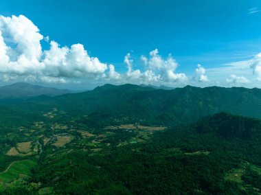 Yumuşak bulut örtüsü altındaki tropikal ormanın nefes kesici hava manzarası.