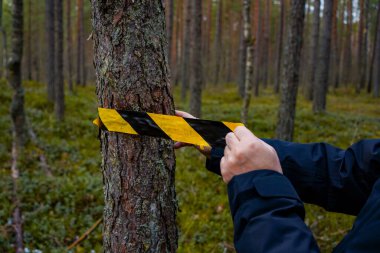 Siyah ceketli bir kişi, sık bir ormanda, bir ağacın etrafına siyah ve sarı uyarı bandı bağlıyor. Tehlike ya da kısıtlama gösteriyor..  
