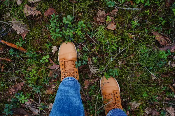 Kotlu bacakları ve yürüyüş botlarıyla ormanda yanında bir köpekle dikilen pençeleri çam iğneleriyle kaplı bir kızın yakın çekimi.