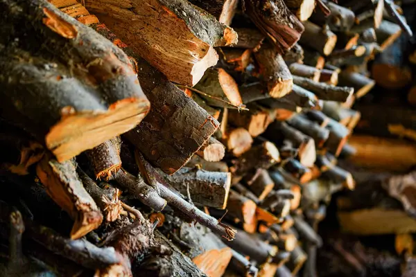 Depoda odun yığını var. Yakmak ya da depolamak için hazır, pürüzlü dokuları ve doğal renkleri gösteren yeni kesilmiş odun kütüklerinin yakın görüntüsü.
