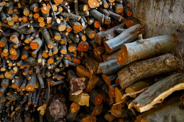 Depoda odun yığını var. Yakmak ya da depolamak için hazır, pürüzlü dokuları ve doğal renkleri gösteren yeni kesilmiş odun kütüklerinin yakın görüntüsü.