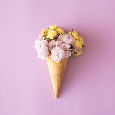 Sarı ve parlak pembe çiçekler pastel mor arka plan üzerinde dondurma külahında. Minimum konsept.