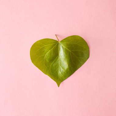 Pembe arka planda kalp şeklinde yeşil bir yaprak. Minimum düzlük.