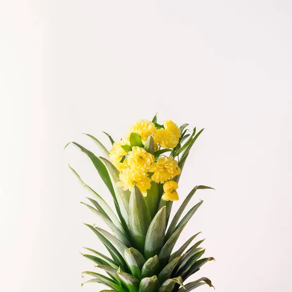 Beyaz arka planda sarı çiçekli ananas yaprakları. Minimum konsept.