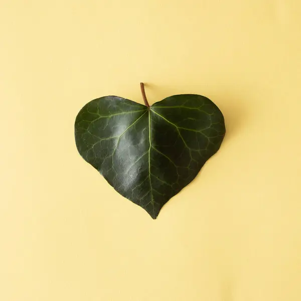 Sarı arka planda kalp şeklinde yeşil bir yaprak. Minimum düzlük.