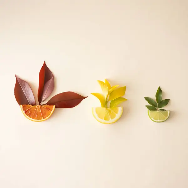 Plastik arka planda tropikal meyve ve leva içeren yaratıcı yaz konsepti. Minimum düzlük yatıyordu.