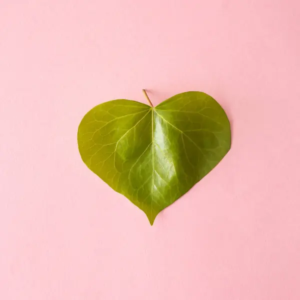 Pembe arka planda kalp şeklinde yeşil bir yaprak. Minimum düzlük.