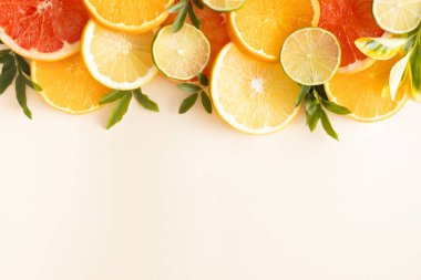 Yazın tropikal meyve kavramı kopyalanmış beyaz arka planda yatıyordu.