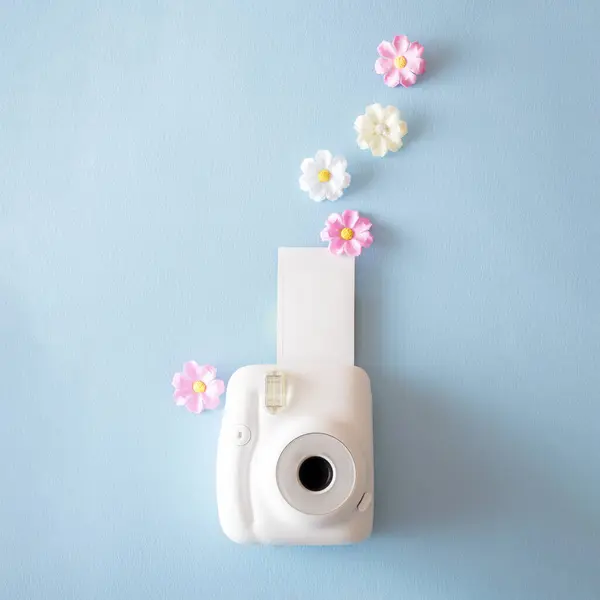Polaroid kameralı yaratıcı bir kavram ve açık mavi arka planda fotokopi alanı olan çiçekler.