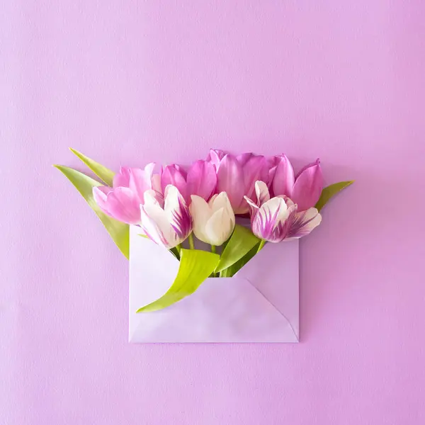 Mor arka planda yeşil yapraklı lalelerle dolu parlak mor evelope. Düz kat.