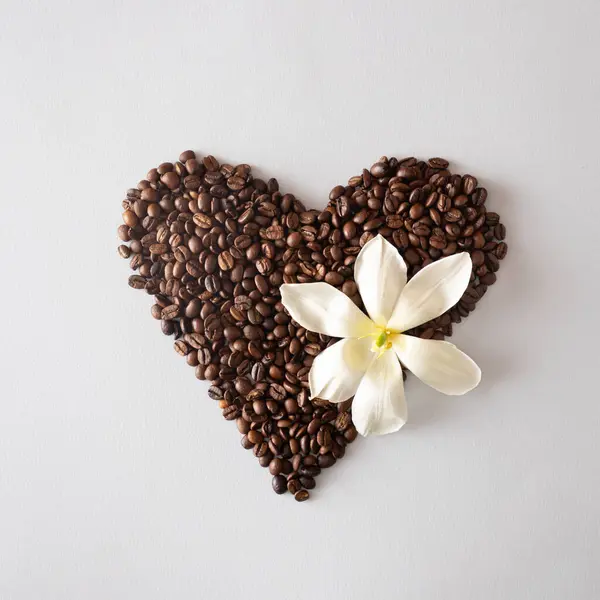 Beyaz arka planda beyaz çiçekli kalp şeklinde kahve çekirdekleri. Yaratıcı kavram.