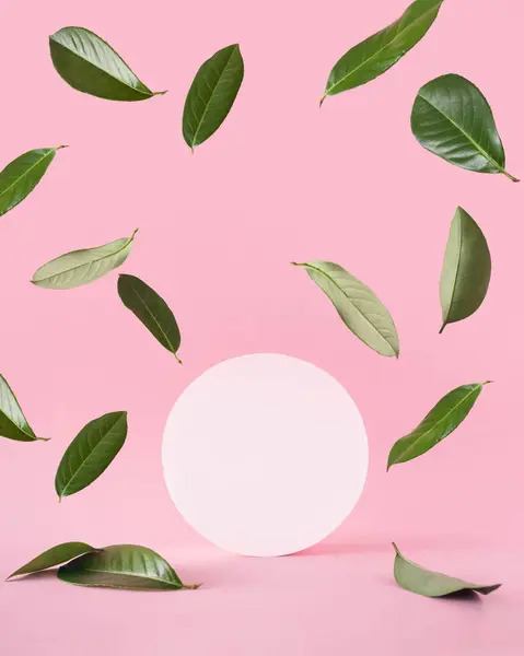 Yeşil canlıların yüzdüğü ve pastel pembe bir arka plan üzerine düştüğü yaratıcı bir kavram. Uzay çemberini kopyala