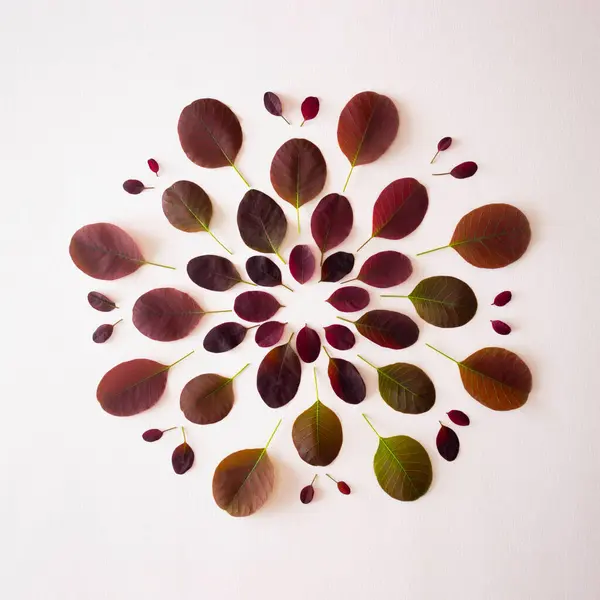 Kırmızı ve yeşil yapraklardan oluşan yaratıcı konsept beyaz arka planda yuvarlak bir kompozisyonda düzenlenmiştir.