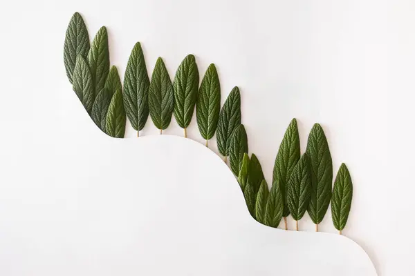 Parlak arka planda yeşil yapraklardan yapılmış orman ağacı çizgisi. Minimum doğa kavramı.