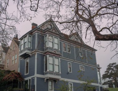 San Francisco 'da yumuşak mavi tonlarla boyanmış güzel bir Viktorya dönemi evi. Sisli bir kış sabahı çıplak ağaç dalları tarafından çerçevelenmiş beyaz süslemeli dış görünüş..