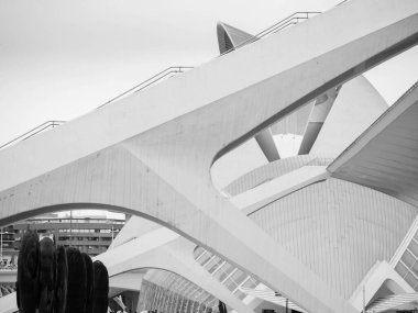 Valencias Sanat ve Bilim Şehri 'nde fütüristik mimari üzerine siyah-beyaz bir çalışma. Keskin çizgiler, kalın kıvrımlar ve katmanlı geometri bilim kurgu atmosferini çağrıştırıyor..