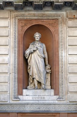 LONDON, İngiltere - 29 Nisan 2025: Kraliyet Akademisi Burlington Bahçeleri cephesinde Georges Cuvier Heykeli