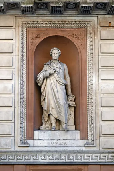 LONDON, İngiltere - 29 Nisan 2025: Kraliyet Akademisi Burlington Bahçeleri cephesinde Georges Cuvier Heykeli