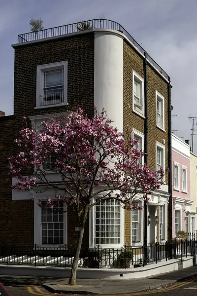 Londra, İngiltere - 29 Mart 2025 Hillgate Caddesi ile Hillgate Place 'in köşesindeki güzel Gürcistan evi.